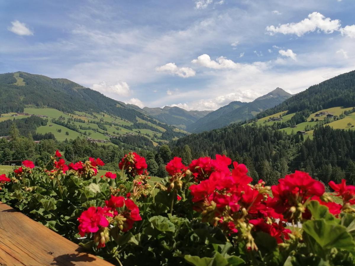 Haus Schmetterling Apartment Alpbach Luaran gambar