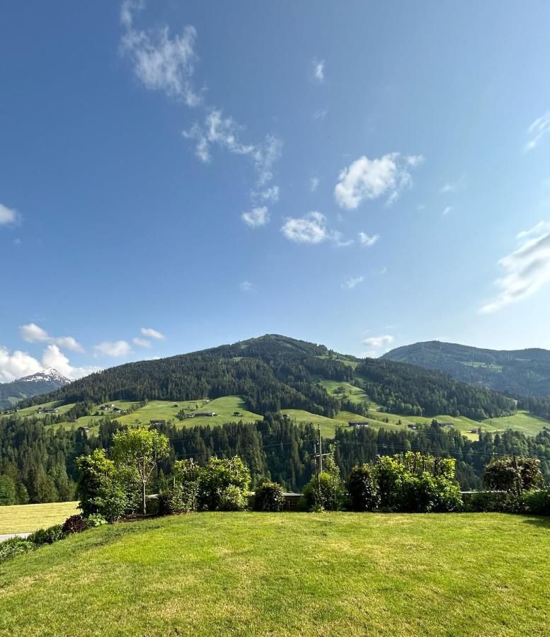 Haus Schmetterling Apartment Alpbach Luaran gambar