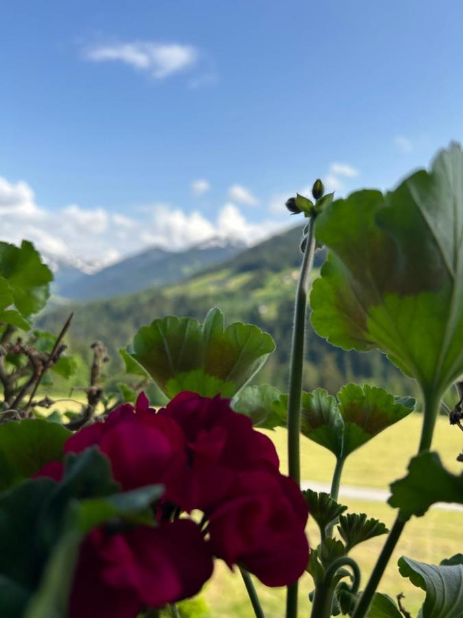Haus Schmetterling Apartment Alpbach Luaran gambar