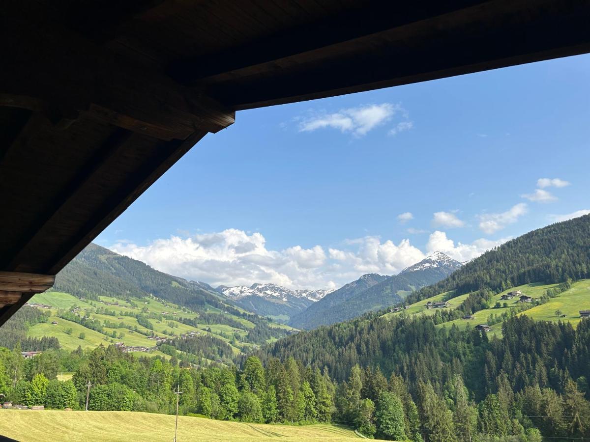 Haus Schmetterling Apartment Alpbach Luaran gambar