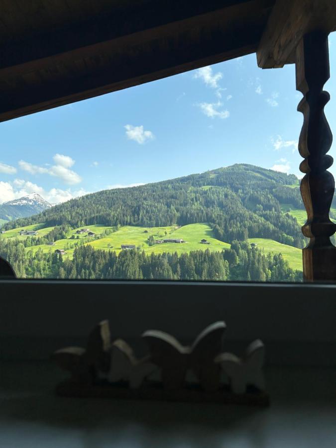 Haus Schmetterling Apartment Alpbach Luaran gambar