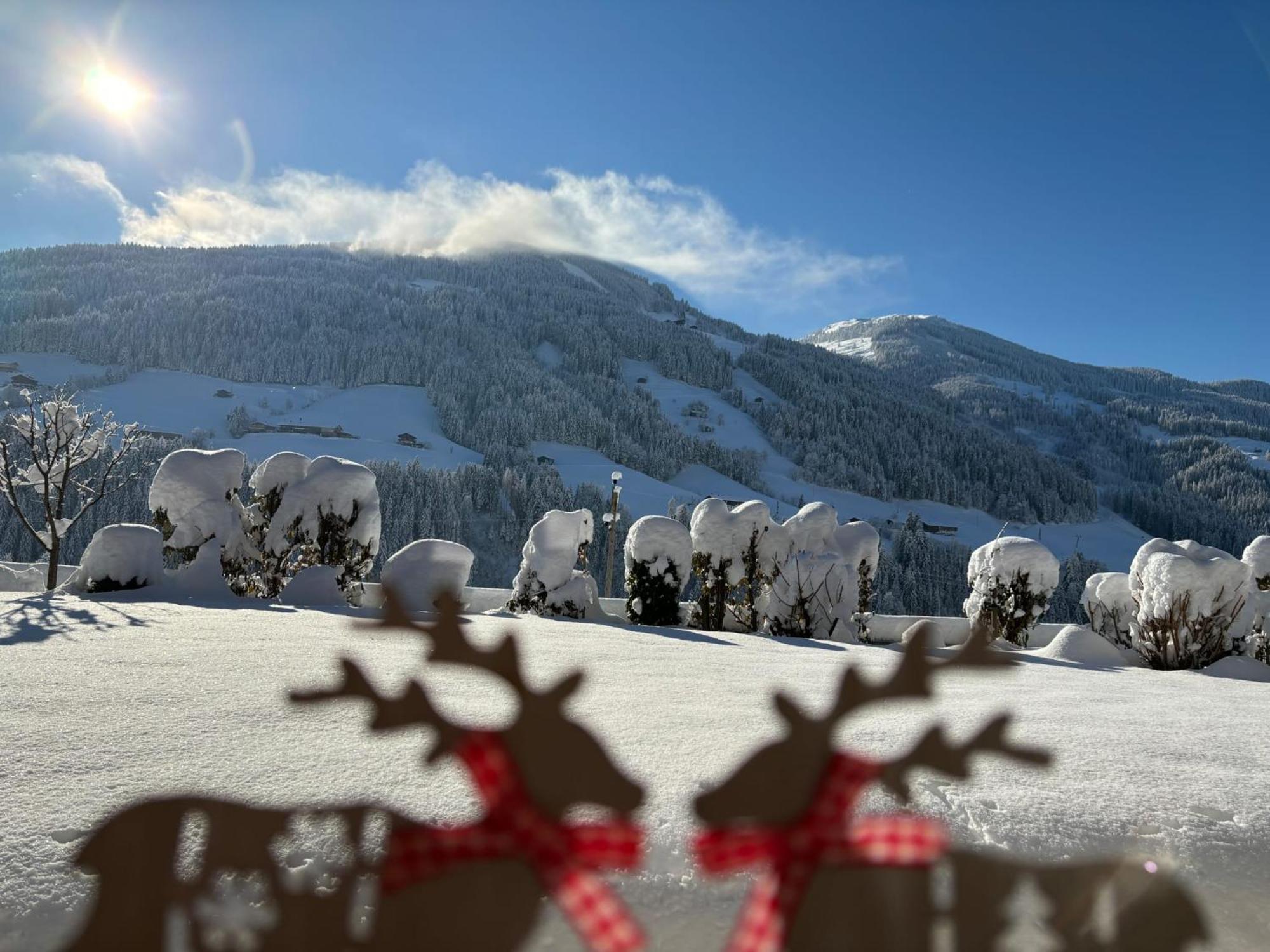 Haus Schmetterling Apartment Alpbach Luaran gambar