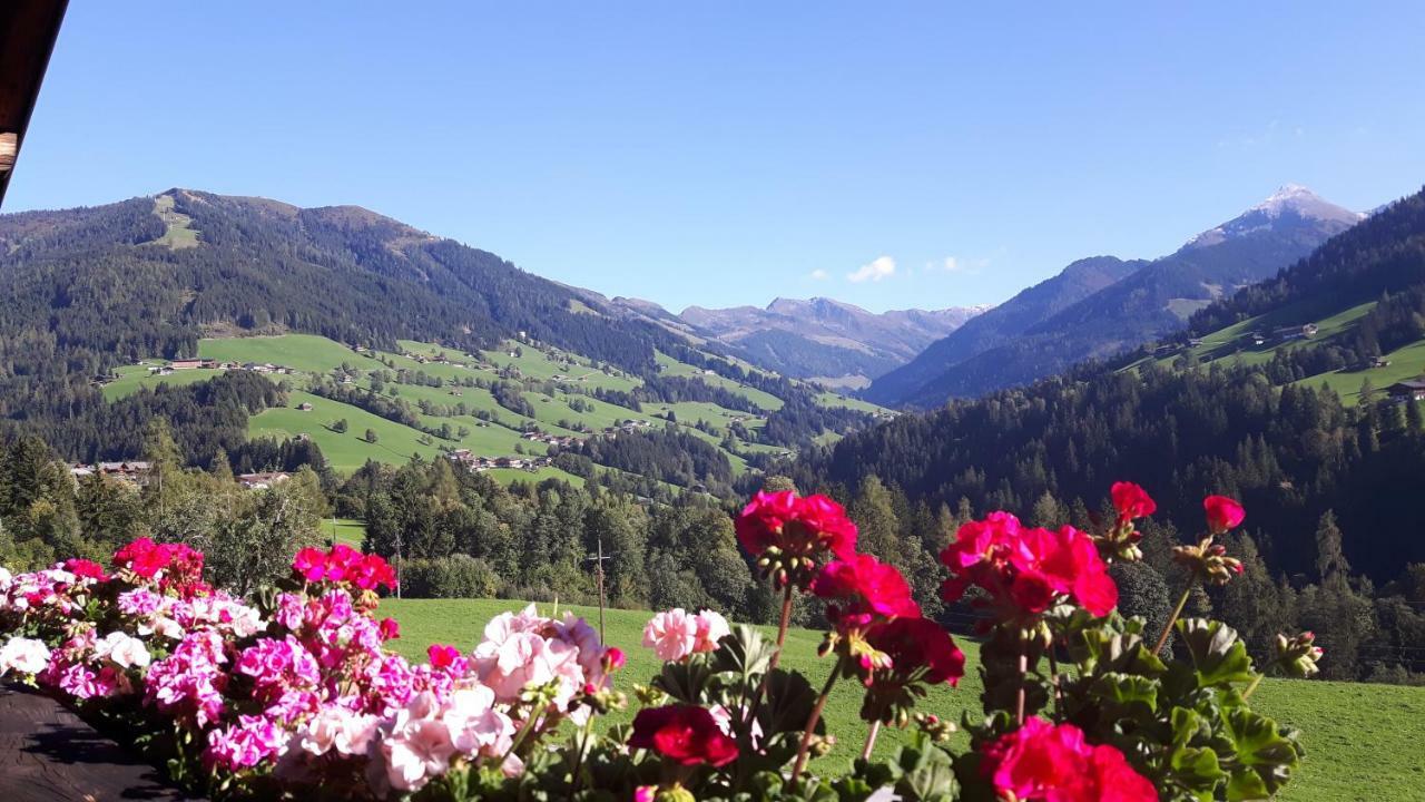 Haus Schmetterling Apartment Alpbach Luaran gambar
