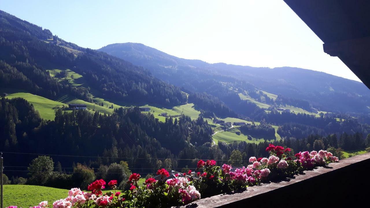 Haus Schmetterling Apartment Alpbach Luaran gambar