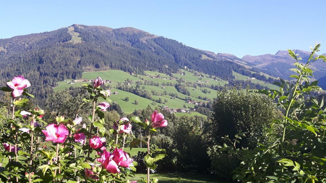 Haus Schmetterling Apartment Alpbach Luaran gambar